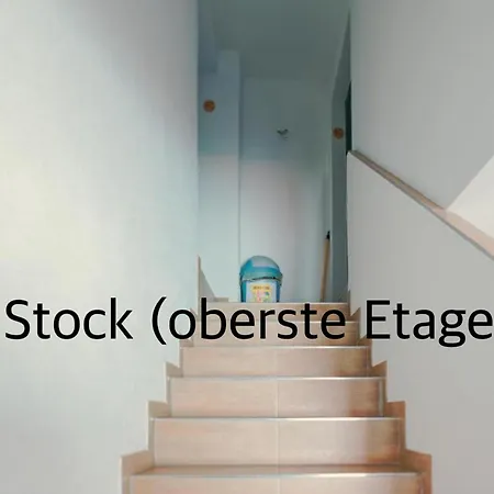 Shining In * Bamberg